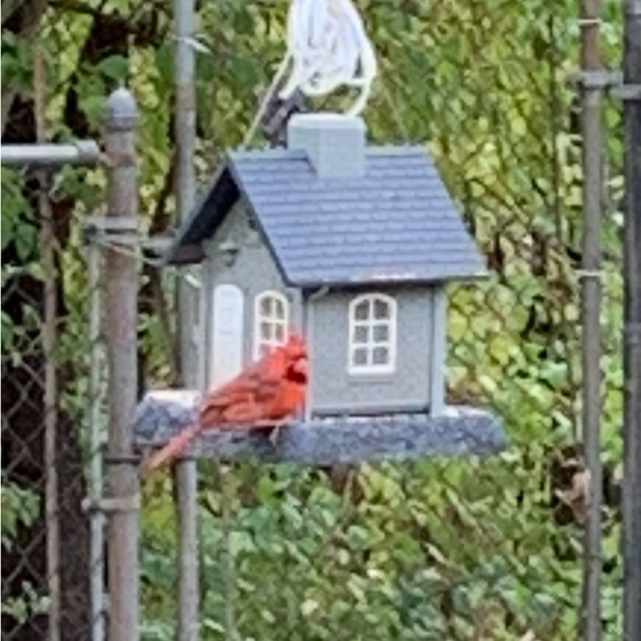 Closet QR Code - Picture 7 of 15